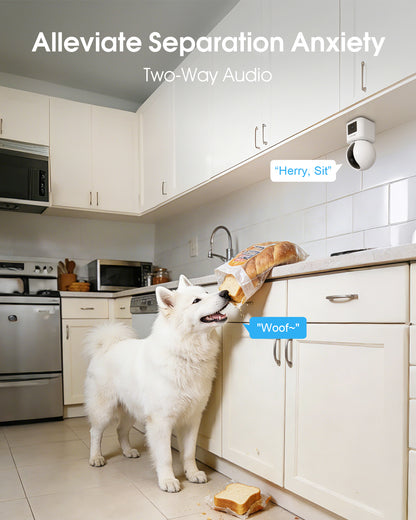 Indoor Dual-Lens Security Camera 2MP+2MP with 360° Coverage
